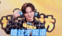 娱乐爆料博君一肖,娱乐圈的甜蜜风暴，这对明星CP的幕后故事