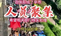 社会百态网友爆料视频,社会百态视频揭示现实众生相