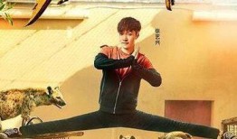 功夫瑜伽在线观看高清,高清盛宴，在线畅享