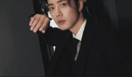 刘大锤最新爆料鹿晗视频,鹿晗神秘视频内容大揭秘